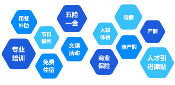 提供全面、系統、專(zhuān)業(yè)的培訓和廣闊的<br>職業(yè)發(fā)展空間和提升機會(huì )