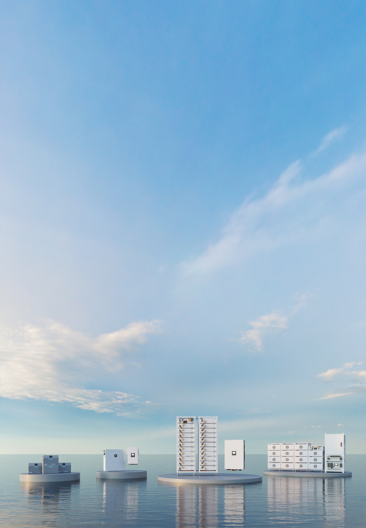 World's leading supplier of Solar inverter  and energy storage system solutions